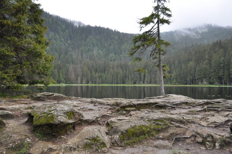 eine ganz heisse nummer arbersee drehort drehorte filmlocation