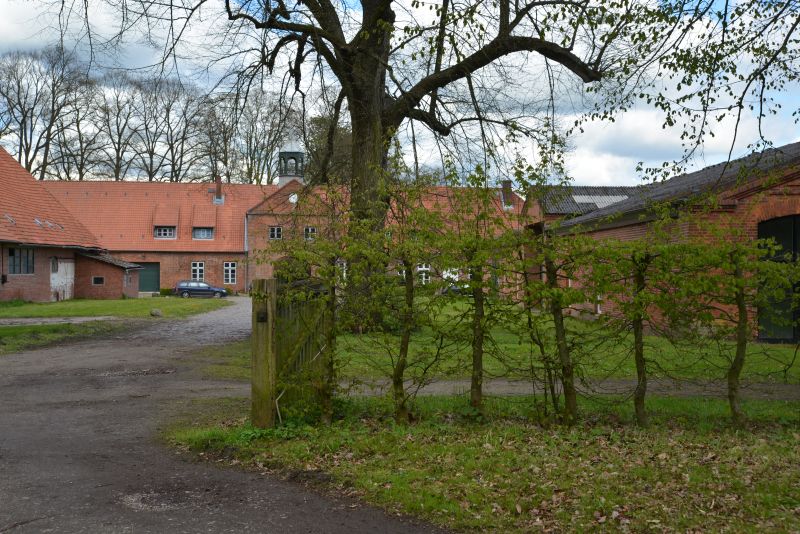 honig-im-kopf-altfresenburg-a 23 honig-im-kopf-altfresenburg-a 23
