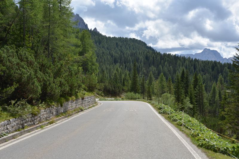 honig-im-kopf-auronzo-a10 honig-im-kopf-auronzo-a10