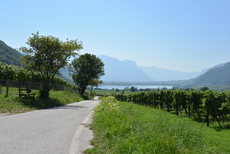 Honig im Kopf Drehorte Kalterer See Honig im Kopf Drehorte Kalterer See
