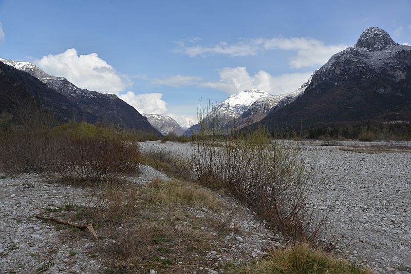 honig-im-kopf-piave-14841 honig-im-kopf-piave-14841