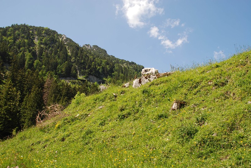 wer frher stirbt ist lnger tot wendelstein mitteralm film location drehort filmlocation filmdrehort