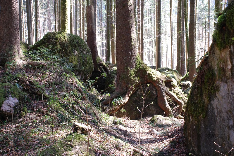 wer frher stirbt ist lnger tot ruhpolding mrchenwald film location drehort filmlocation filmdrehort