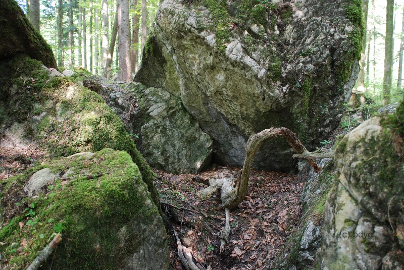 wer frher stirbt ist lnger tot ruhpolding mrchenwald film location drehort filmlocation filmdrehort