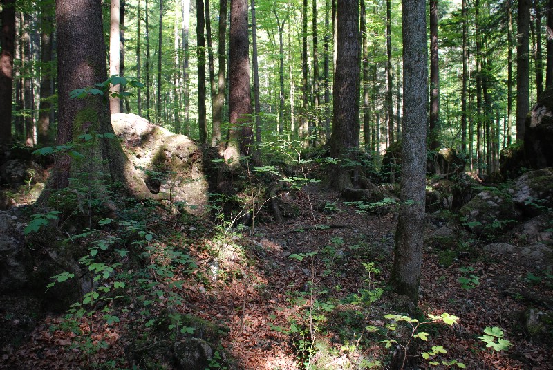 wer frher stirbt ist lnger tot ruhpolding mrchenwald film location drehort filmlocation filmdrehort