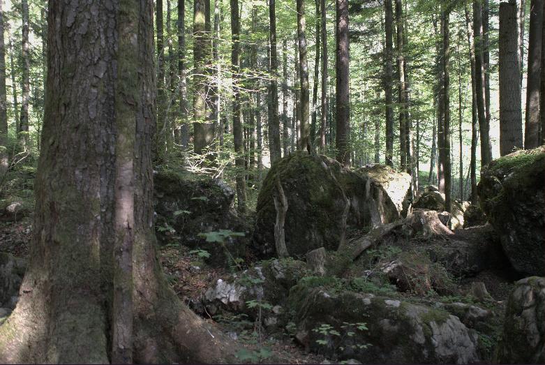 wer frher stirbt ist lnger tot ruhpolding mrchenwald film location drehort filmlocation filmdrehort