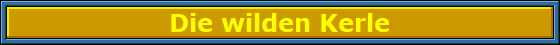 Die_wilden_Kerle_Nbanner