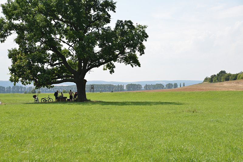 Bibi und Tina Unstruttal Eiche Drehorte Filmlocation Bibi und Tina Unstruttal Eiche Drehorte Filmlocation