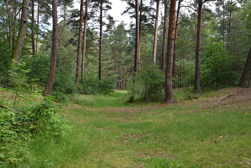 bibi und tina 3 drehort filmlocation bibi und tina 3 drehort filmlocation