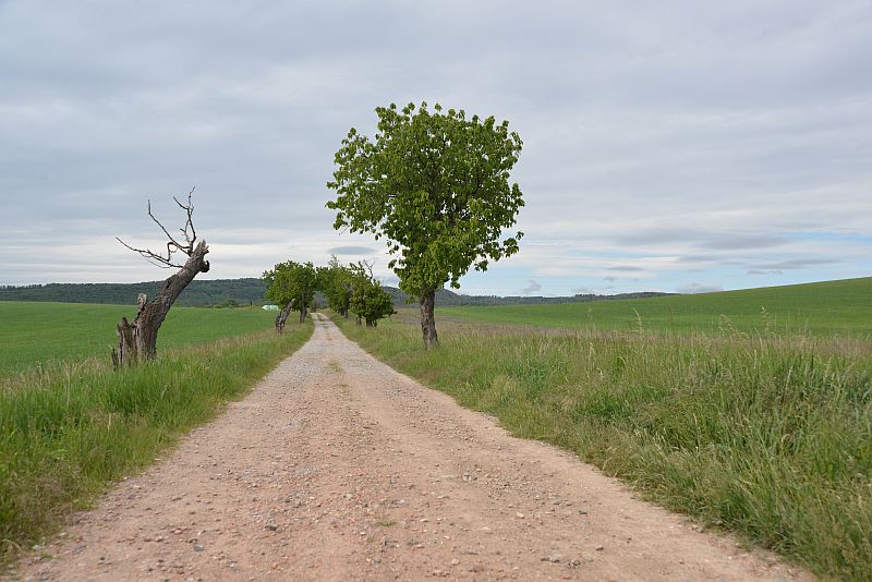 bibi-und-tina-3-cattenstedt-a 03 00022 bibi-und-tina-3-cattenstedt-a 03 00022