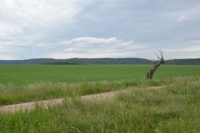 bibi-und-tina-3-cattenstedt-a 04 00103 bibi-und-tina-3-cattenstedt-a 04 00103