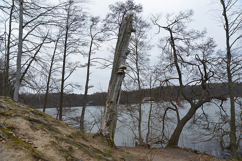 Bibi und Tina 3 Drehorte Liepnitzsee Bibi und Tina 3 Drehorte Liepnitzsee