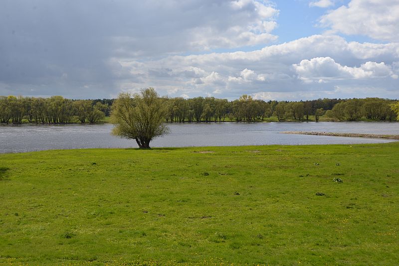 bibi-und-tina-4-kietz-wiese-a 03 bibi-und-tina-4-kietz-wiese-a 03