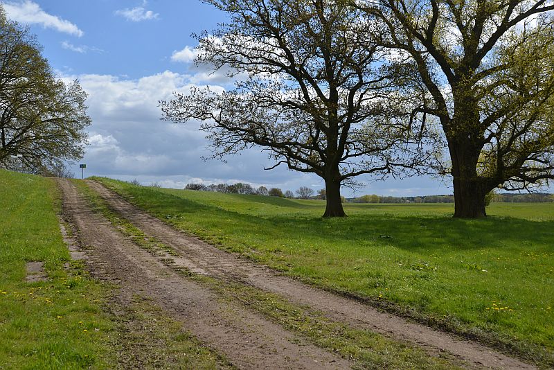 bibi-und-tina-4-kietz-wiese-a 05 bibi-und-tina-4-kietz-wiese-a 05