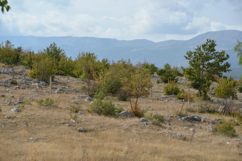 bibi-und-tina-4-kroatien bibi-und-tina-4-kroatien